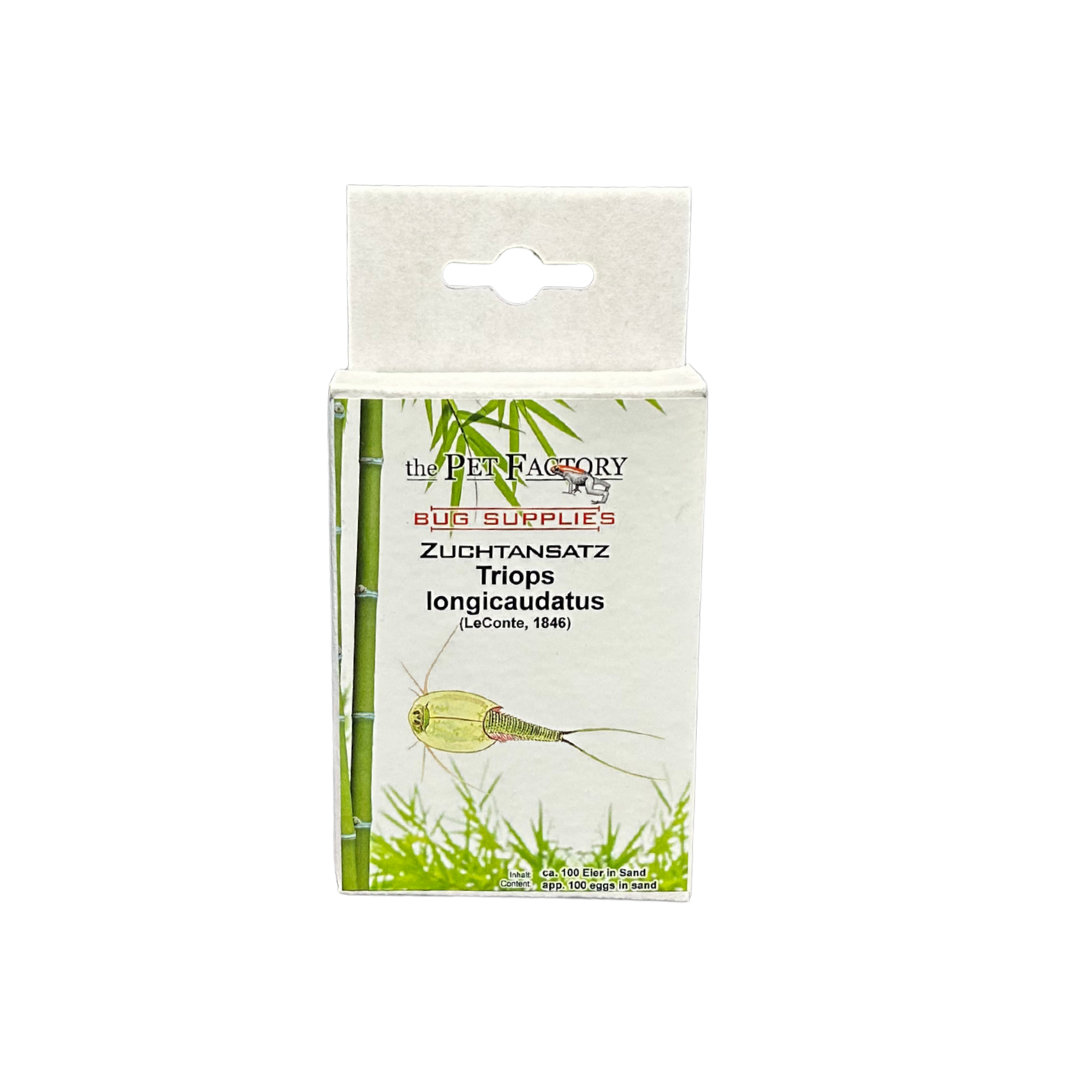 Criação de Triops longicaudatus