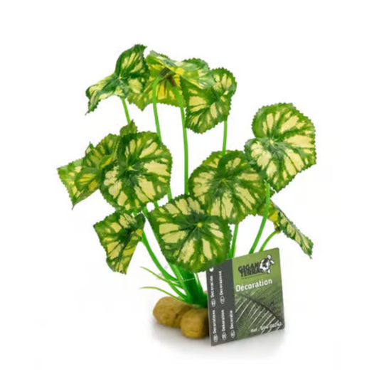 Planta Vertical