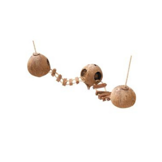 Casa Coconut c/ Escada 🥥