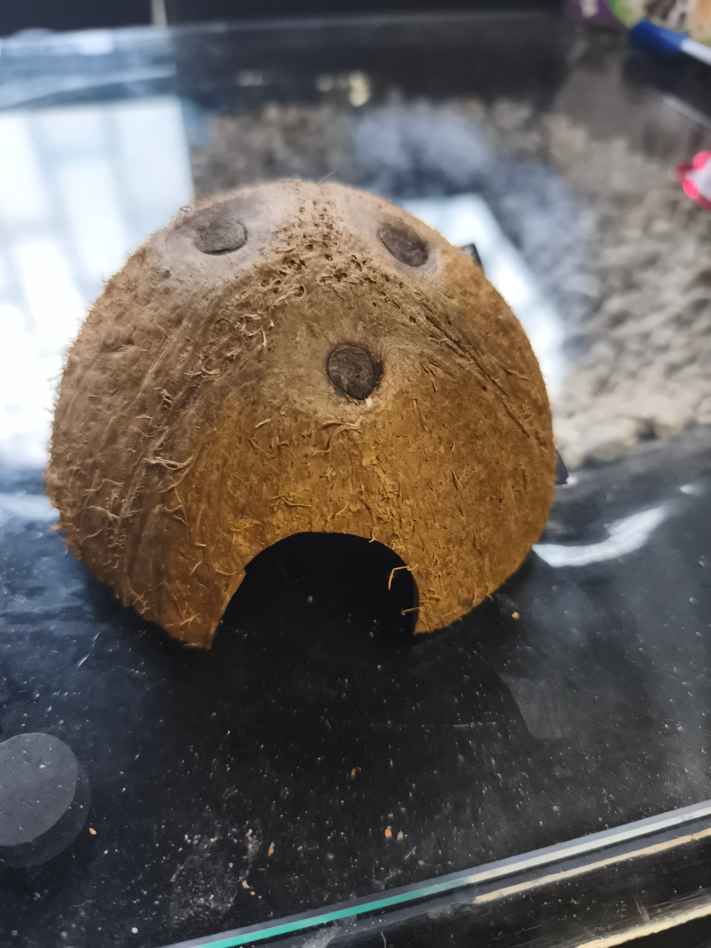 Coco Shell L