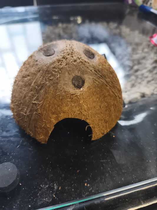 Coco Shell L