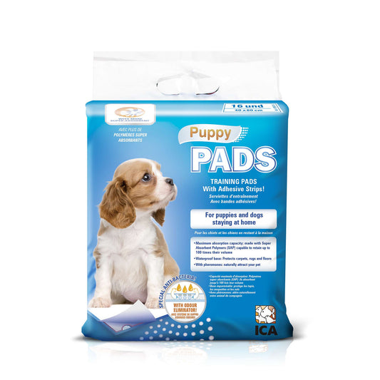 Tapetes de Treino para Cães e Cachorros 🐶