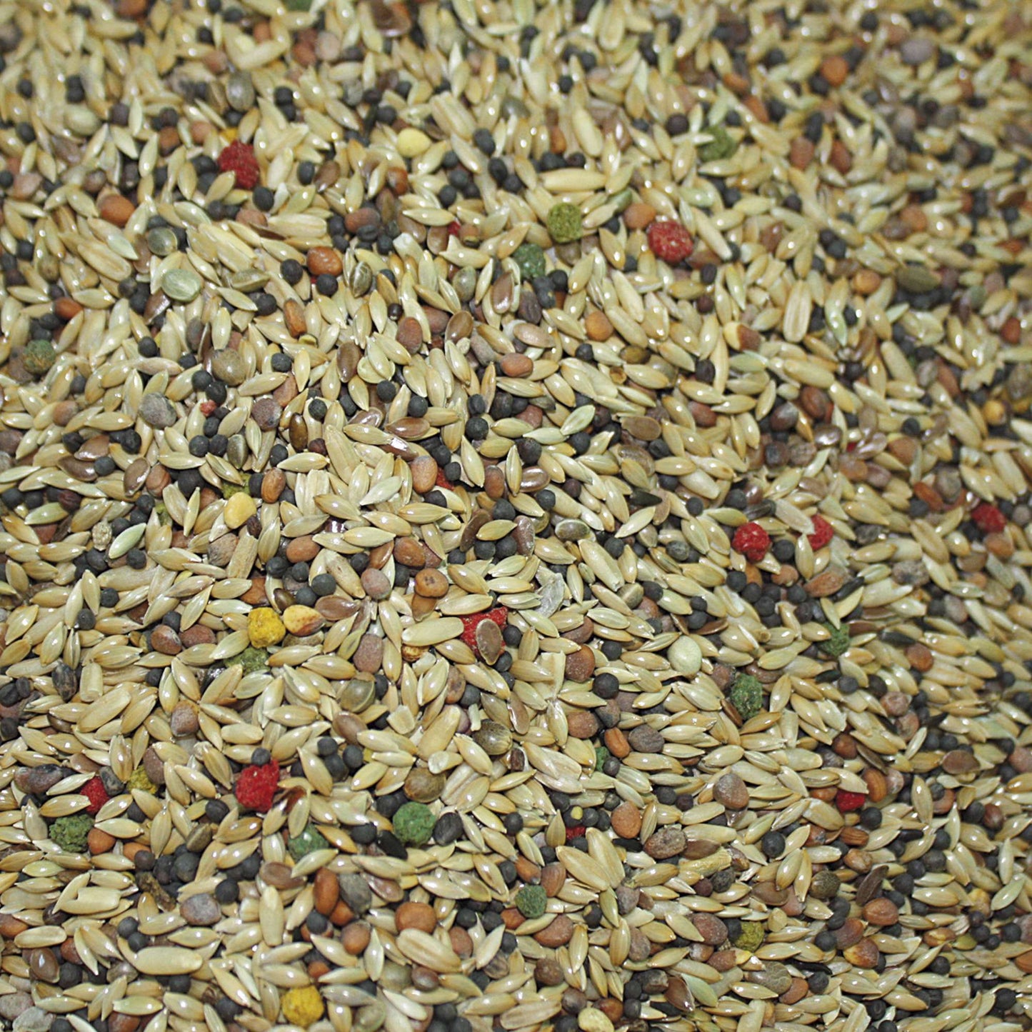 Alimento Vit Pro Canário em Saco 🐦🌾